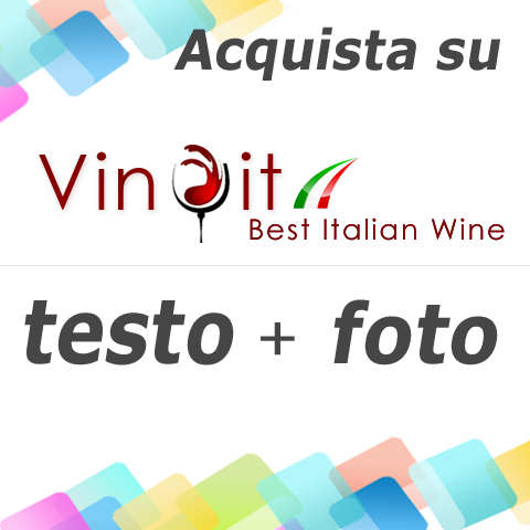 Vinoit.it Best Italian Wine